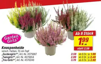 toom Baumarkt Knospenheide Angebot