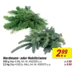toom Baumarkt Nordmann- oder Nobilistanne Angebot