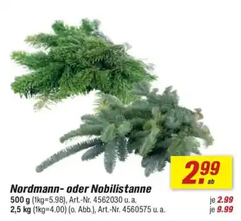 toom Baumarkt Nordmann- oder Nobilistanne Angebot