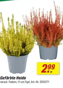 toom Baumarkt Gefärbte Heide Angebot