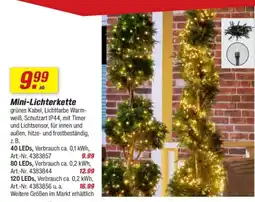 toom Baumarkt Mini-Lichterkette Angebot