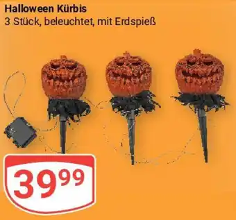 Globus Halloween Kürbis Angebot