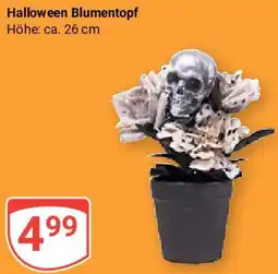Globus Halloween Blumentopf Angebot