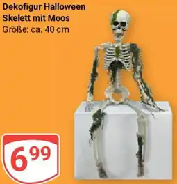 Globus Dekofigur Halloween Skelett mit Moos Angebot