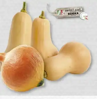 Edeka Edeka Mein Land Speisekürbis Hokkaido Angebot