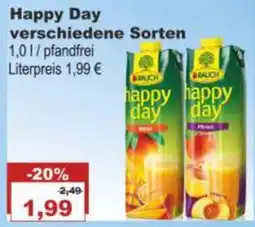 Bilgro RAUCH Happy Day Angebot
