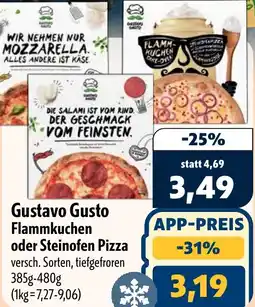Aktiv Irma Gustavo Gusto Flammkuchen oder Steinofen Pizza Angebot