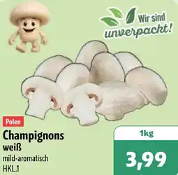 Aktiv Irma Polen Champignons weiẞ Angebot