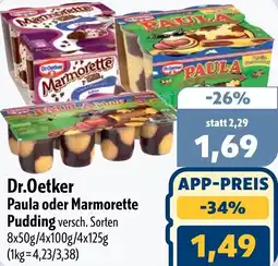 Aktiv Irma Dr.Oetker Paula oder Marmorette Pudding Angebot