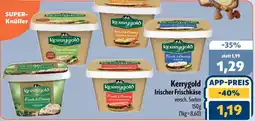 Aktiv Irma Kerrygold Irischer Frischkäse Angebot