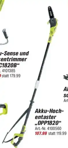 toom Baumarkt RYOBI ONE + Akku-Hoch- entaster „,OPP1820" Angebot