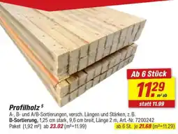 toom Baumarkt Profilholz Angebot