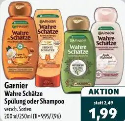 Aktiv Irma Garnier Wahre Schätze Spülung oder Shampoo Angebot