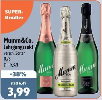 Aktiv Irma Mumm&Co. Jahrgangssekt Angebot