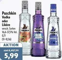 Aktiv Irma Puschkin Vodka oder Liköre Angebot