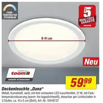 toom Baumarkt Deckenleuchte „Dana" Angebot