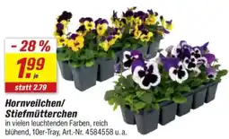 toom Baumarkt Hornveilchen/ Stiefmütterchen Angebot