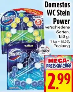 EDEKA Hahner Domestos WC Stein Power Angebot