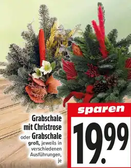 EDEKA Hahner Grabschale mit Christrose oder Grabschale Angebot