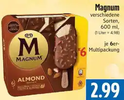 EDEKA Hahner Magnum Angebot