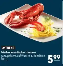 CITTI Markt Frischer kanadischer Hummer Angebot
