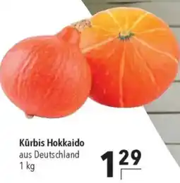 CITTI Markt Kürbis Hokkaido Angebot