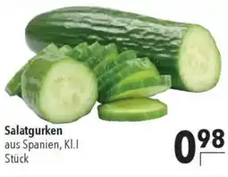 CITTI Markt Salatgurken Angebot