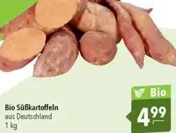 CITTI Markt Bio Süßkartoffeln Angebot