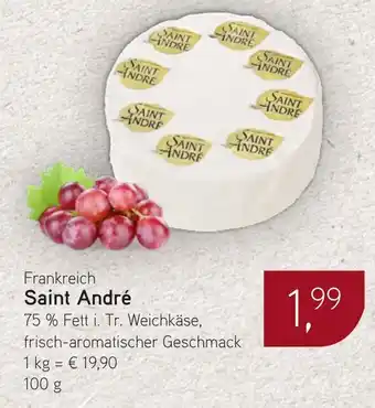 Dornseifer Saint André Angebot