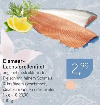 Dornseifer Eismeer- Lachsforellenfilet Angebot