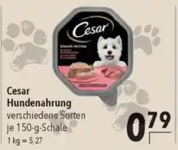CITTI Markt Cesar Hundenahrung Angebot