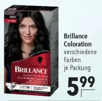CITTI Markt Brillance Coloration Angebot
