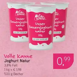 Dornseifer Volle Kanne Joghurt Natur Angebot