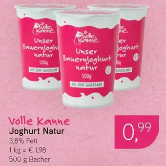 Dornseifer Volle Kanne Joghurt Natur Angebot