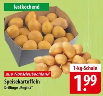 Famila Nord Ost Speisekartoffeln Drillinge,Regina" Angebot
