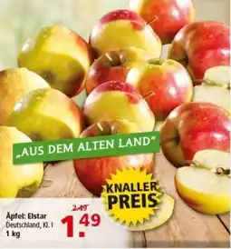 Multi Markt Apfel Elstar Angebot
