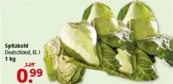 Multi Markt Spitzkohl Angebot