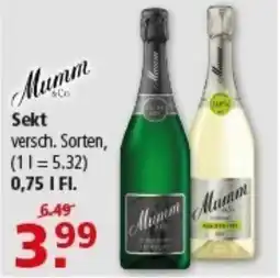 Multi Markt Mumm Sekt Angebot
