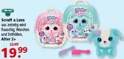Multi Markt Scruff a Luvs Angebot