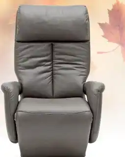 Möbel Inhofer Relaxsessel Angebot