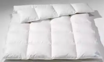 Möbel Inhofer Pro Night Daunendecke Angebot