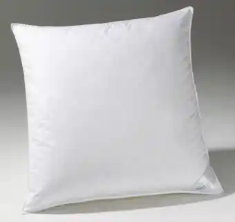 Möbel Inhofer Pro Night Kopfkissen Angebot
