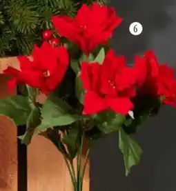Handelshof Künstlicher Weihnachtsstern Angebot
