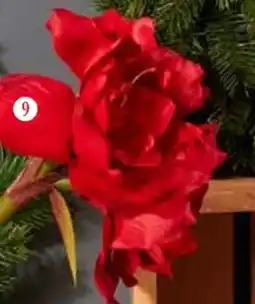 Handelshof Kunstblume Amaryllis Angebot