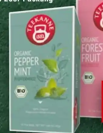 Handelshof Teekanne Bio Organics Tee Angebot