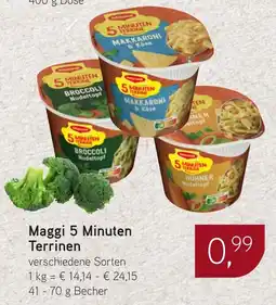 Dornseifer Maggi 5 Minuten Terrinen Angebot