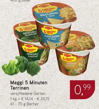 Dornseifer Maggi 5 Minuten Terrinen Angebot