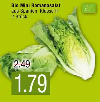 Marktkauf Bio Mini Romanasalat Angebot