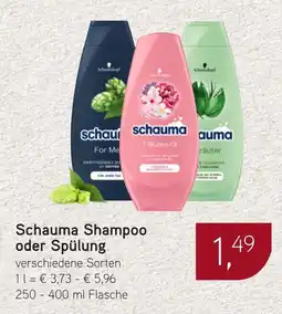 Dornseifer Schauma Shampoo oder Spülung Angebot