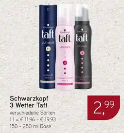 Dornseifer Schwarzkopf 3 Wetter Taft Angebot